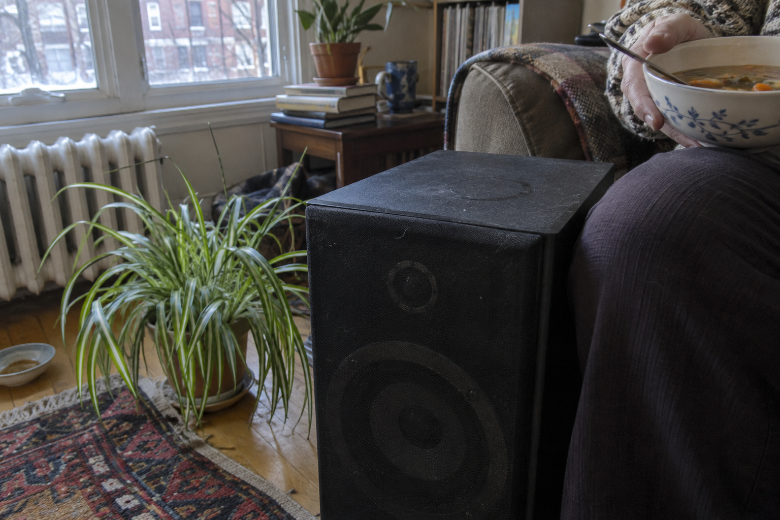 A soup bowl and a clothed knee beside a worn speaker, with its spider plant moved to the floor.